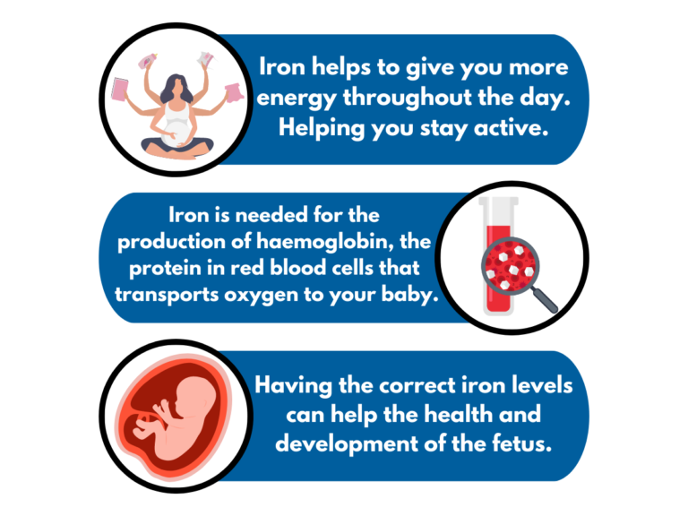 iron rich foods for pregnancy